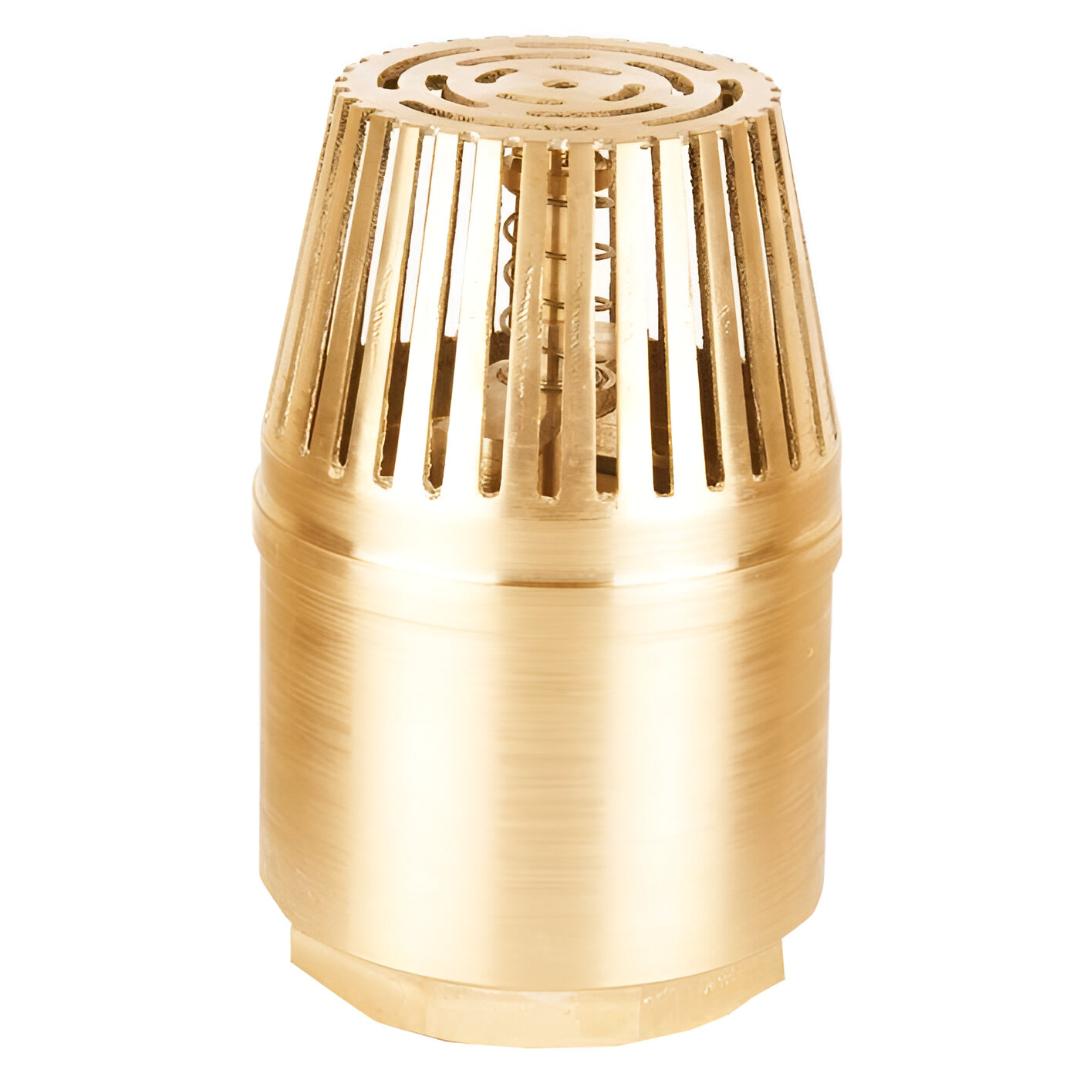 foot-valve RBS FOOT VALVE 1" - Image 1